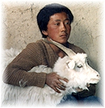 Man & goat