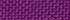 Cabbage Purple