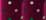 Bright Magenta Multi Dot