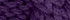 Winter Violet