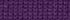 Winter Violet