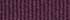 Aubergine Plum