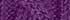 Winter Violet