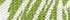 Soft Fern Large Floral