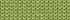 Soft Fern