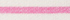 Cosmos Pink Stripe