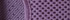 Lavender Berry