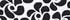 Black Daisies