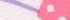 Pale Purple Daisy