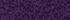 Winter Violet