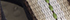 Khaki Stripe