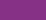 Purple Beet Graphic