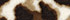 Rich Brown/Ivory