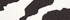 Rich Brown/Ivory Graphic