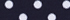True Navy/White