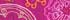 Bright Magenta Whimsical