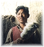 Man with wool