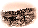 Portuguese Flannel Mill