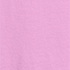 Aster Pink