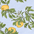 Soft Blue Sky Citrus Print