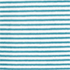 Bright Aqua Micro Stripe