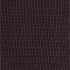 Black Currant
