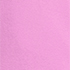Aster Pink