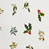 Ivory/Light Emerald Holly