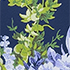 Navy/White Blooms