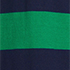 Blue Grass/Radiant Navy Stripe