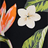 Hibiscus Floral/Black