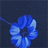 Navy Magnolia Floral