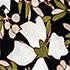 Black Floral Blossom