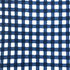Deep Sea Navy Gingham