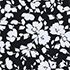 Black Blossom Floral
