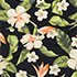 Hibiscus Floral/Black