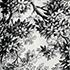 Ivory/Black Slate Toile