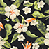 Hibiscus Floral/Black