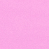Aster Pink