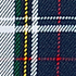 Classic Navy Multi Plaid