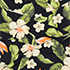 Hibiscus Floral/Black