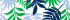 Blue Crab