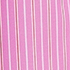 Bright Pink Stripe