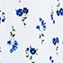 White/Clear Blue Sky Flowers