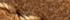 Wheat