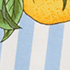 Misty Blue Citrus Stripe