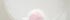 White/Pink