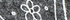Gray Floral