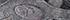 Pewter