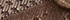 Sand/Brown